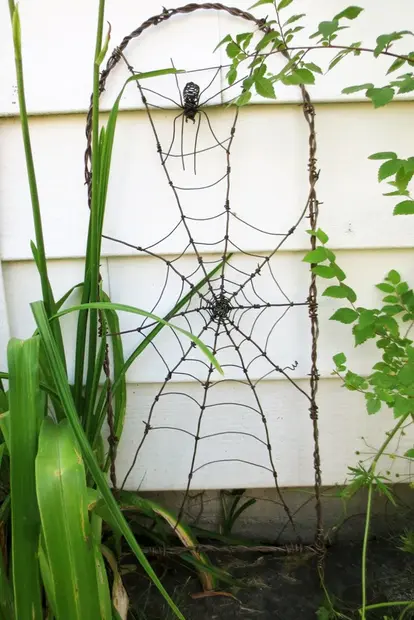 Spider In A Tattered Web Barbed Wire Garden Trellis