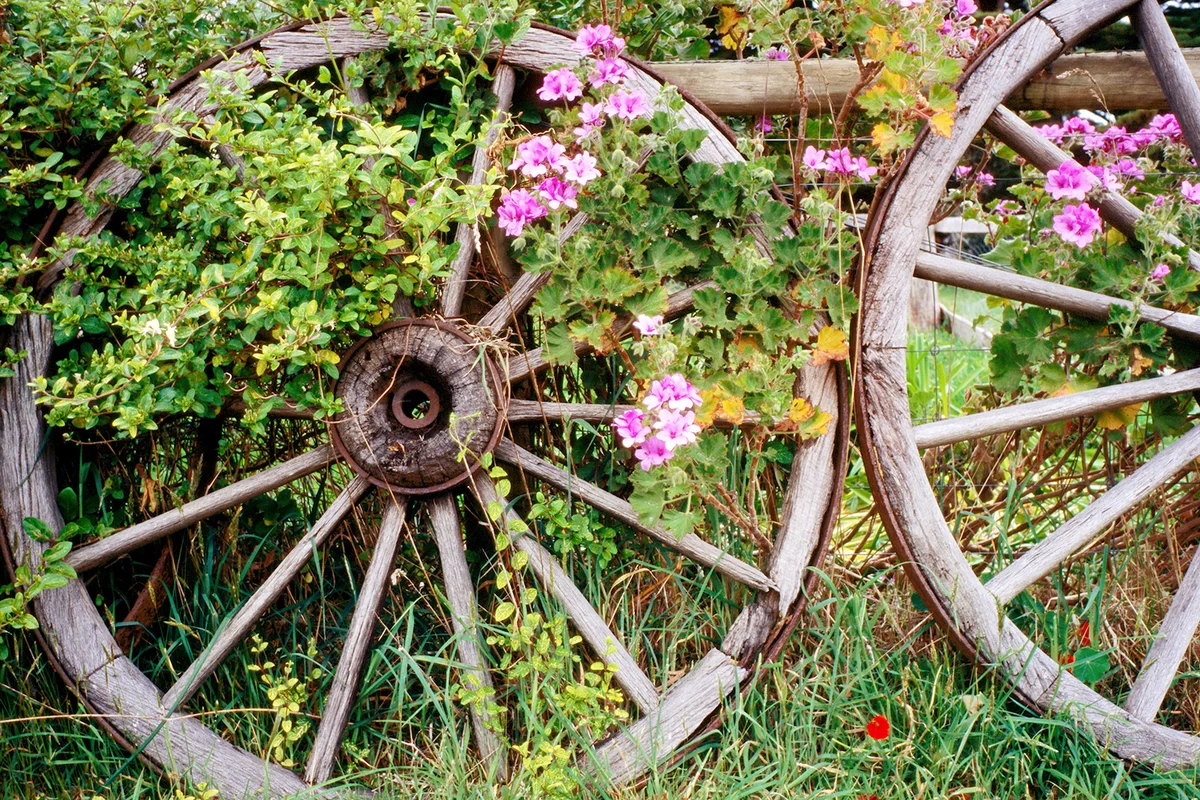 Wagon wheels with flowers
