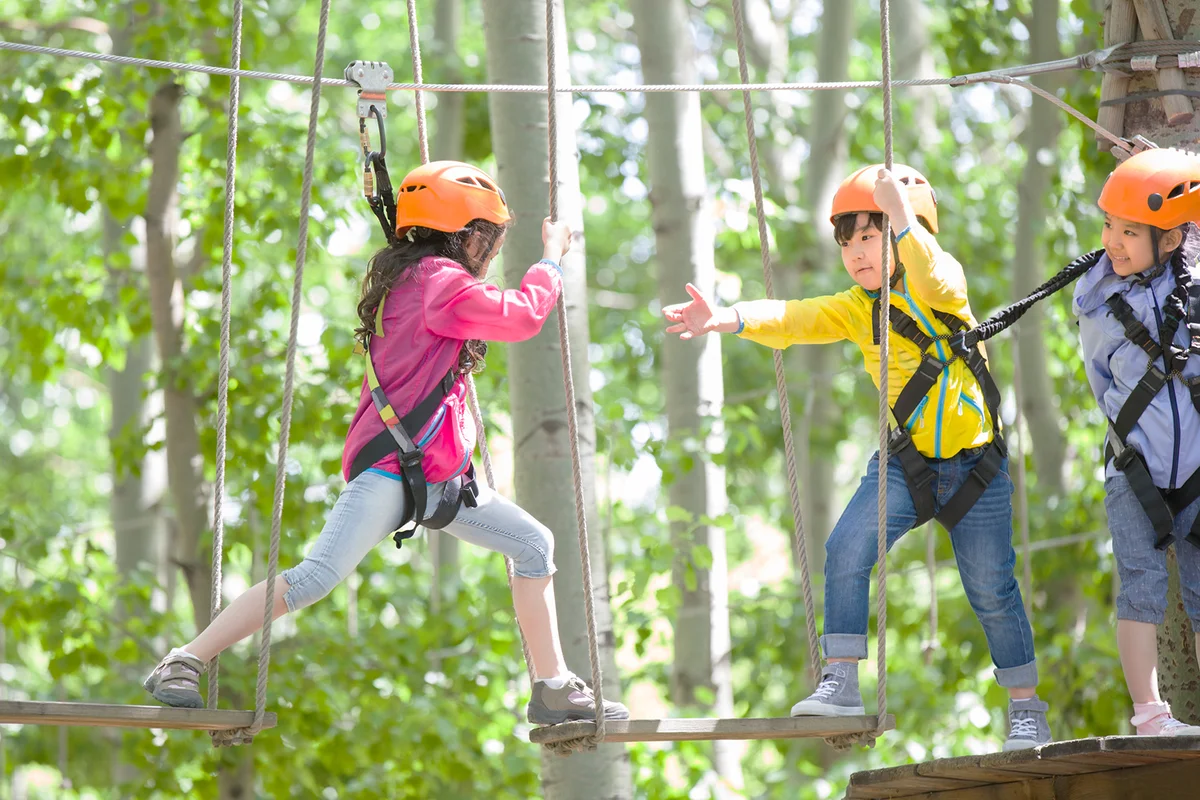 Happy children playing in tree top adventure park
