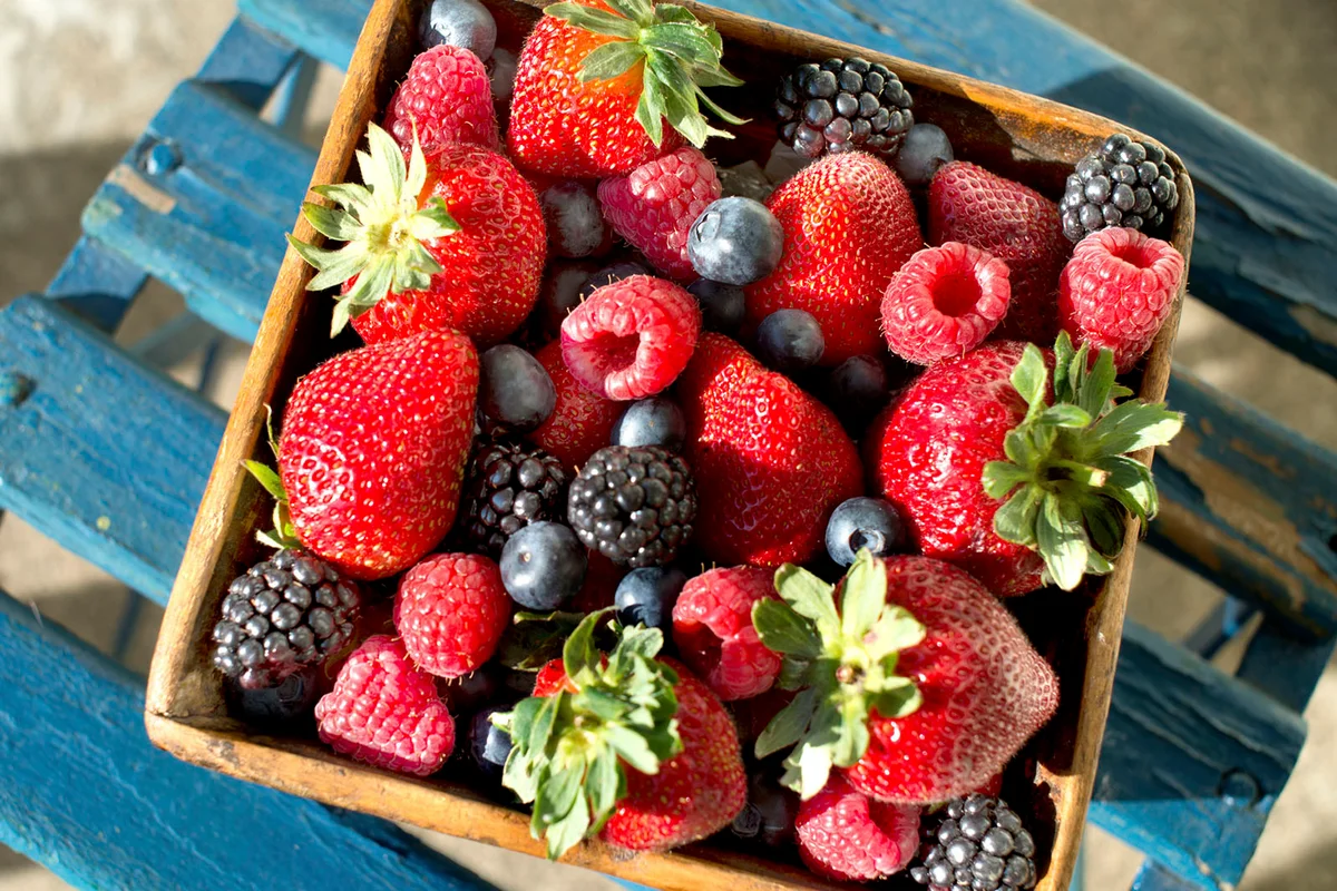 Berries on chair