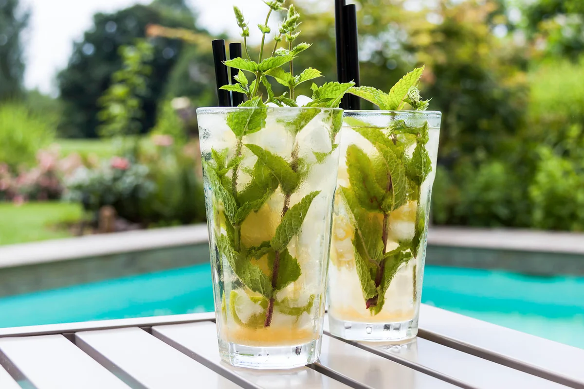 Two glasses of Mojito