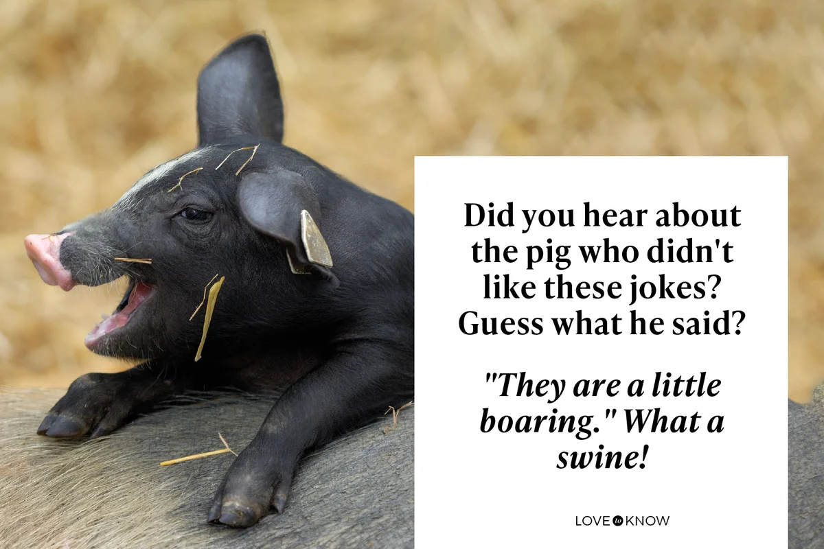Happy piglet
