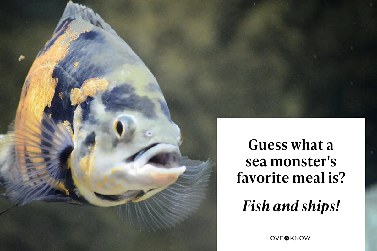 Exotic aquarium fish