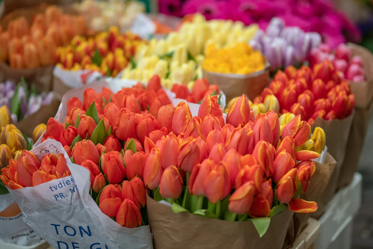 Various Flowers At Market Stall