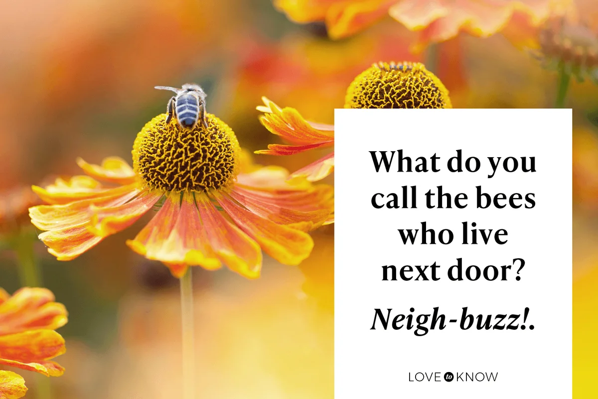 Funny Bee Joke