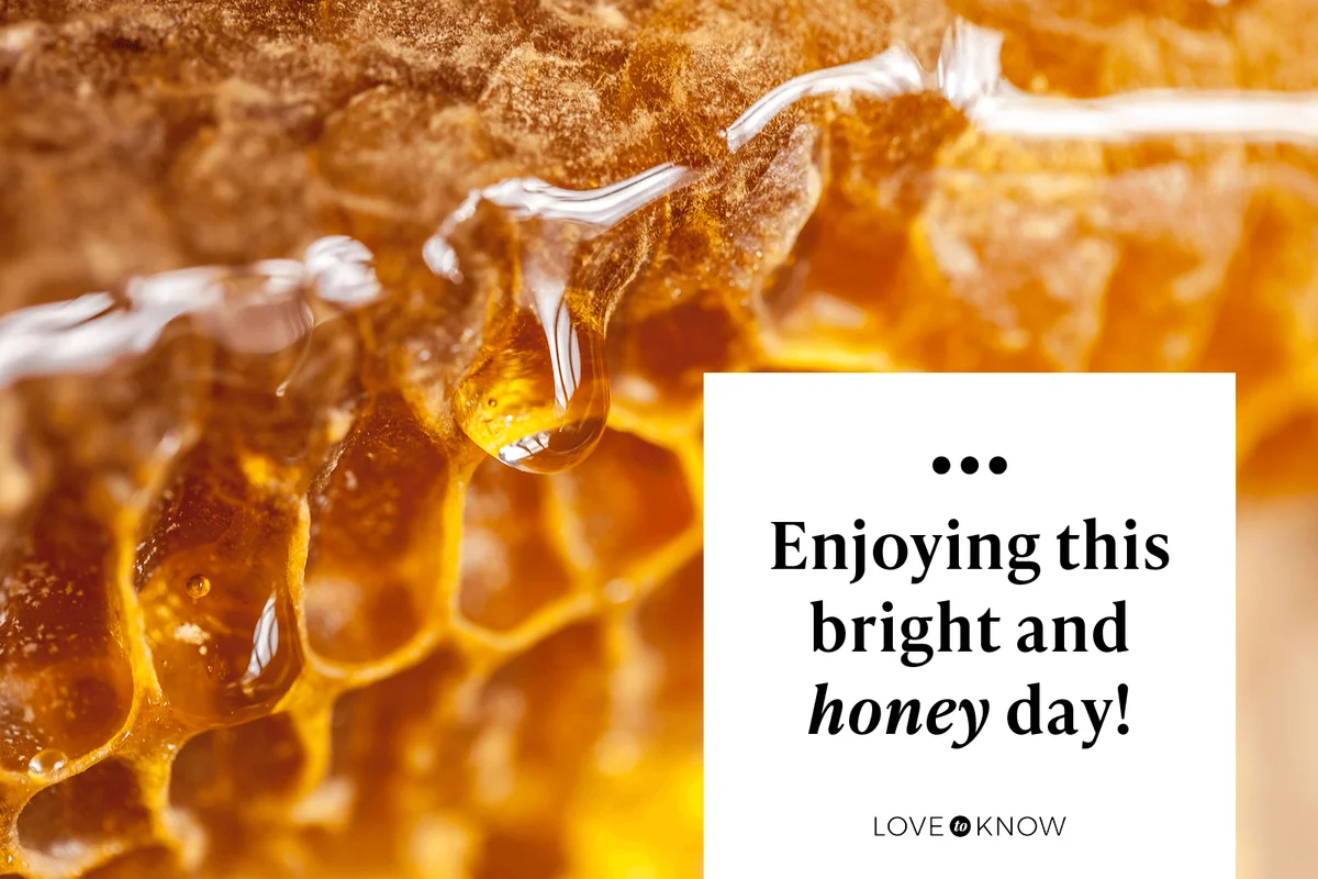 Buzz-Worthy Bee Puns to Caption Your Comb