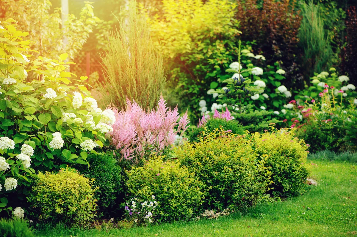 garden with foliage & flowers