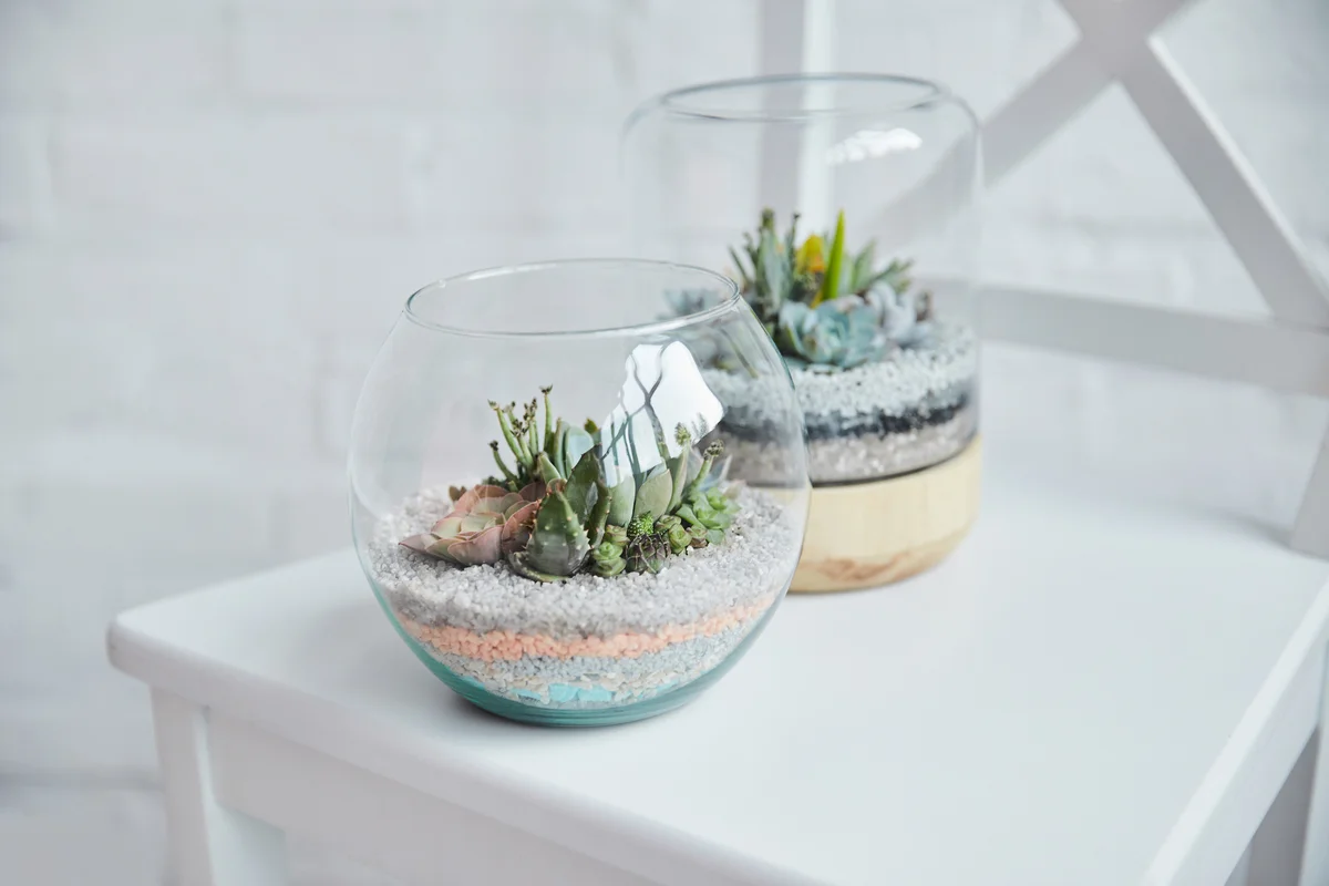 Terrariums