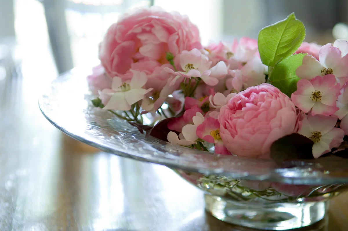 peonies in a glass bowl