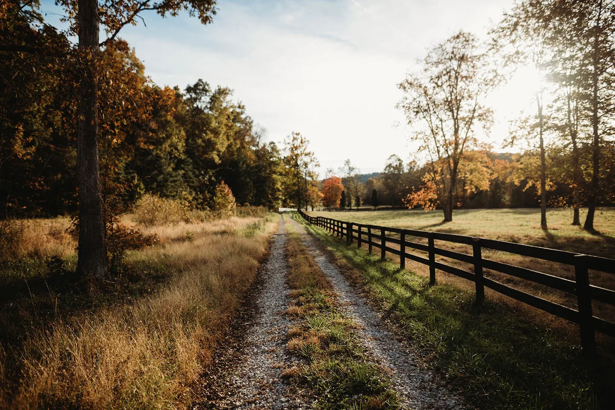 Autumn landscape view of gravel driveway at sunset on fall day