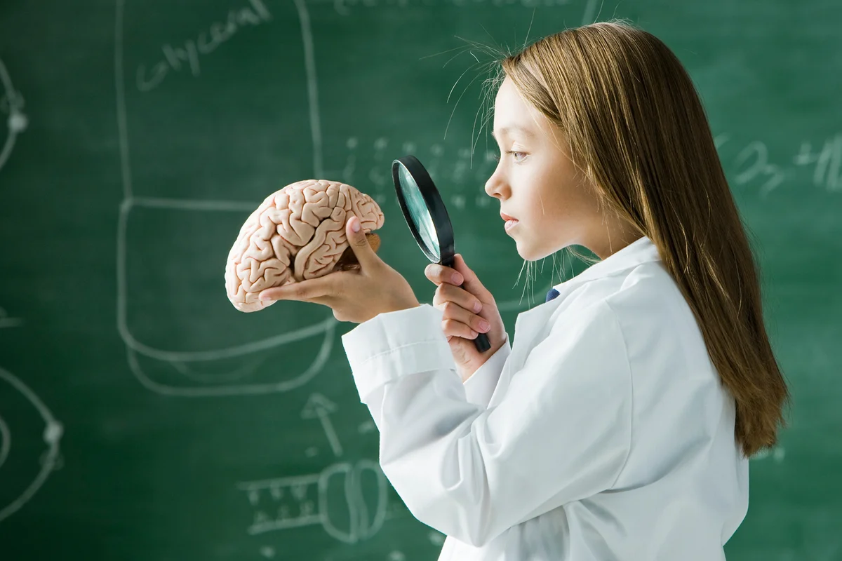 Girl in a classroom standing in front of a chalkboard looking at a brain with a magnifying glass