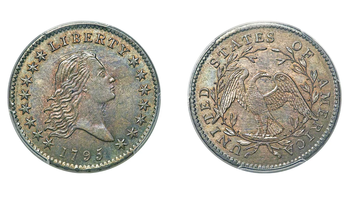 1795 Flowing Hair Half Dollar
