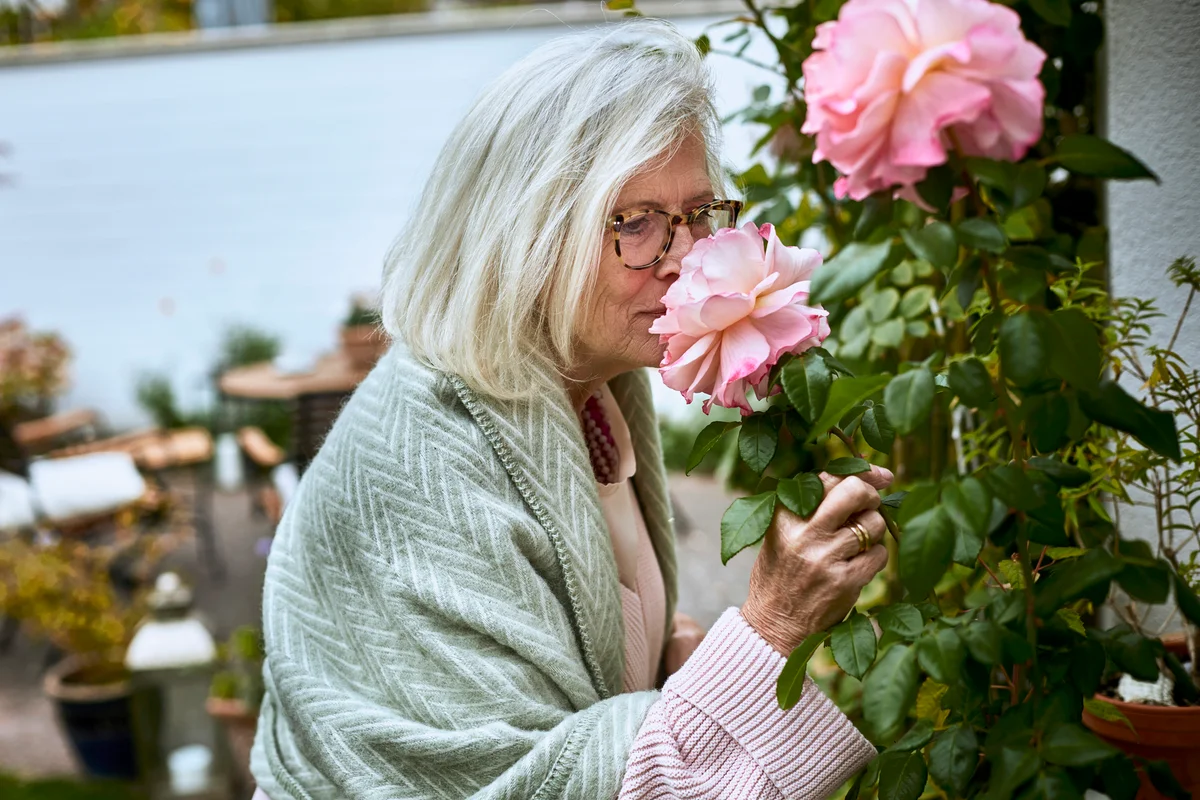 Senior woman smelling at rose in garden