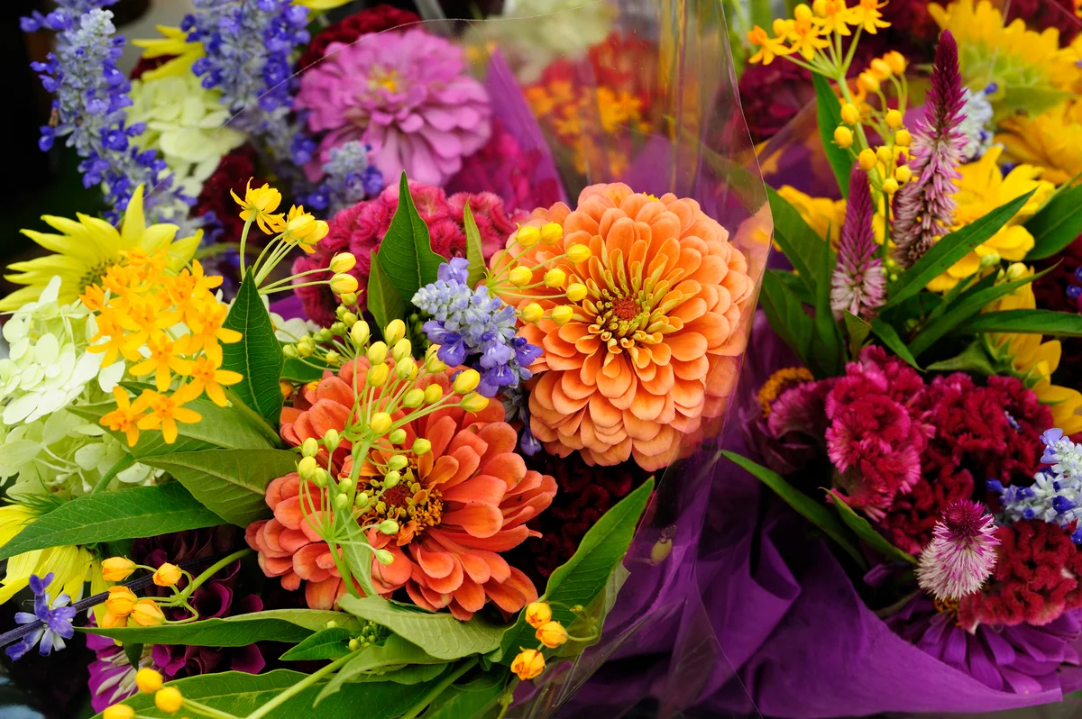 bouquet
