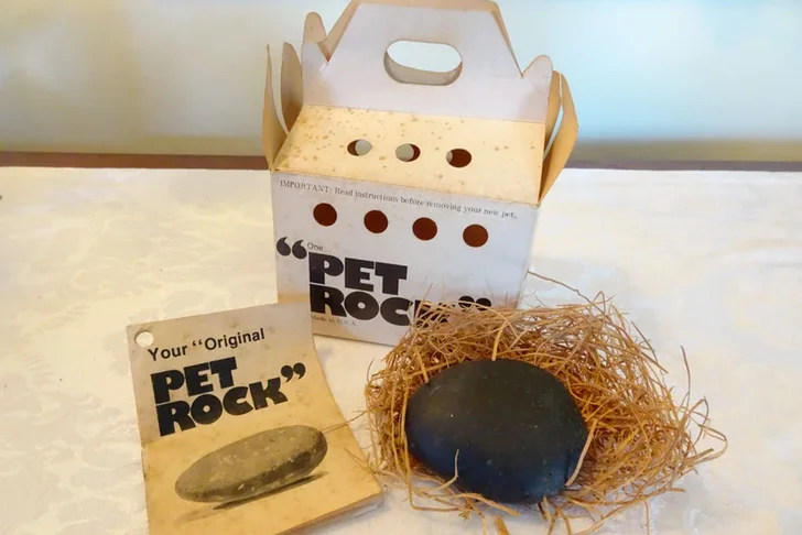 The Original Pet Rock In Box with Paperwork and Bedding