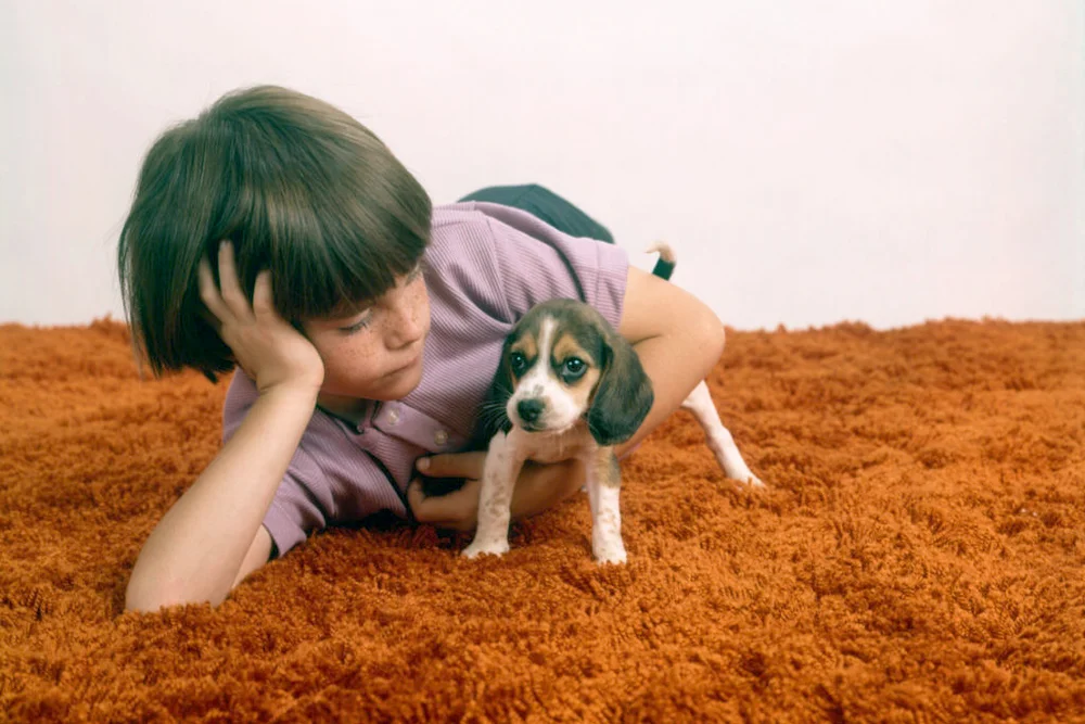 Boy with puppy lying on orange carpet