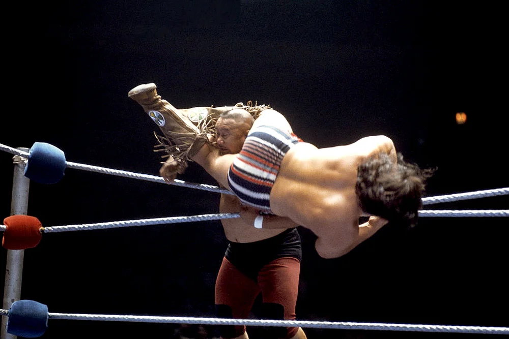Professional wrestler Mr. Fuji