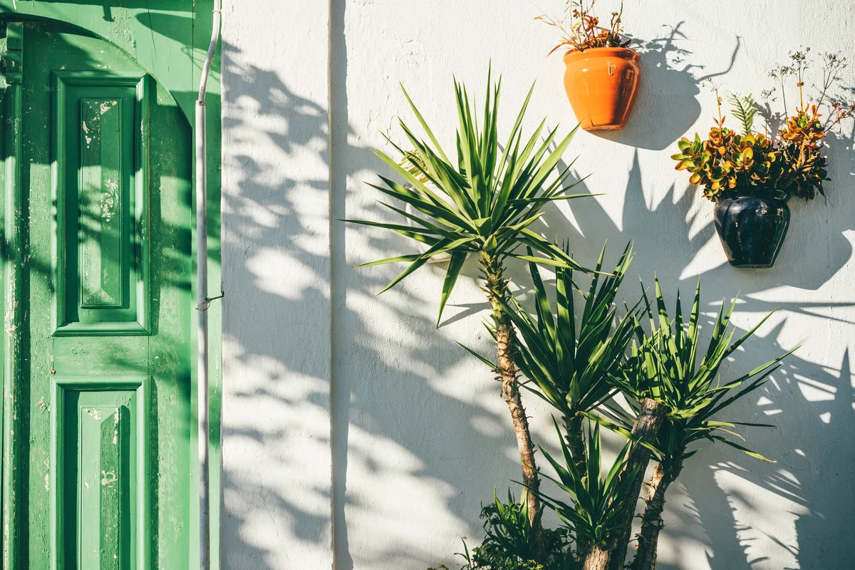 Mediterranean old green wooden door and flower pots