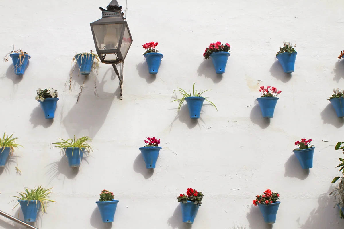 Flower Pots On White Wall