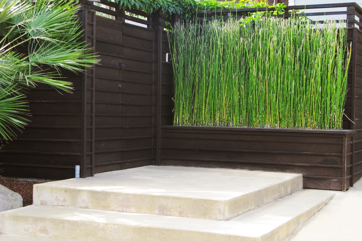 Japanese style patio with bamboo