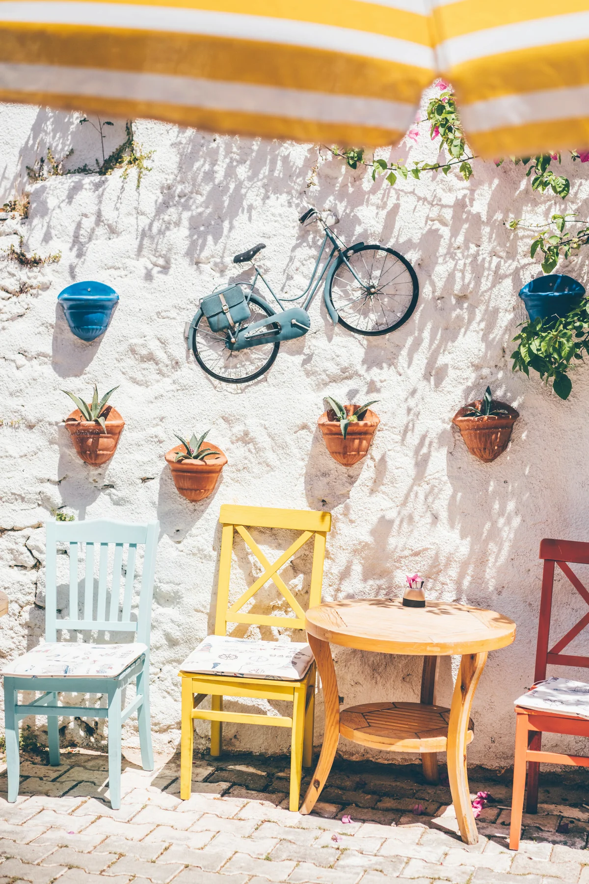 Pots with plants and a decorative bicycle hanging on a white wall