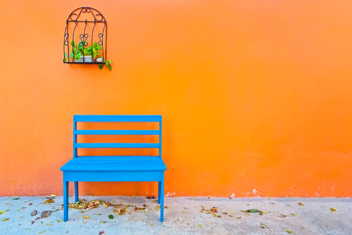 Blue Wooden Bench and a Hanging Plant against Orange Wall