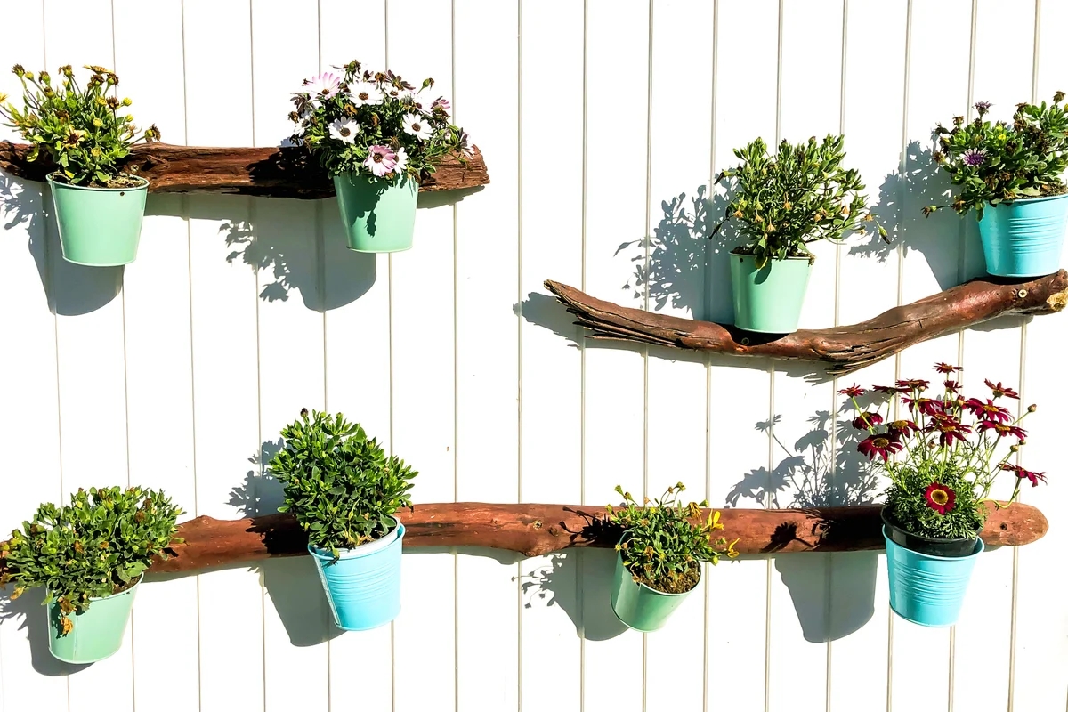 Flowers pots hanging in the wall in a beach club