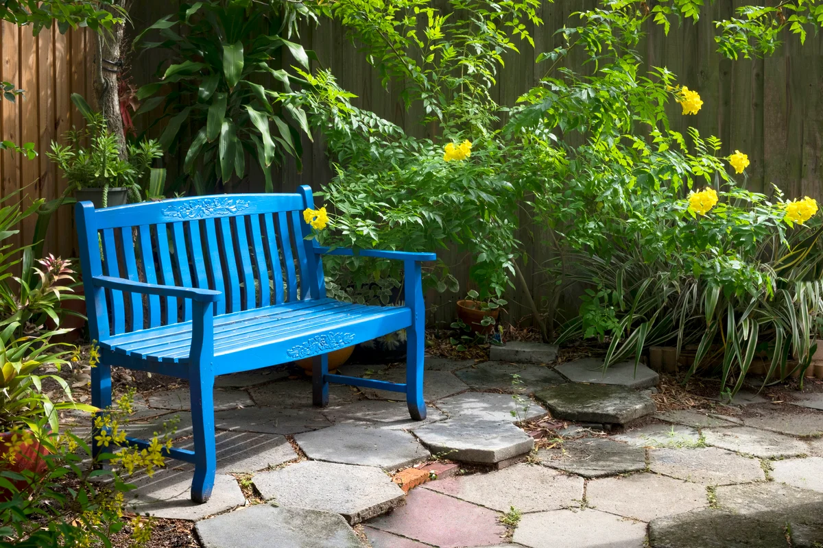 Backyard Garden with blue bench