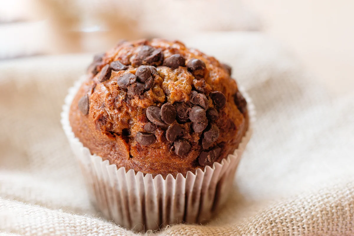 Homemade muffin with chocolate chips