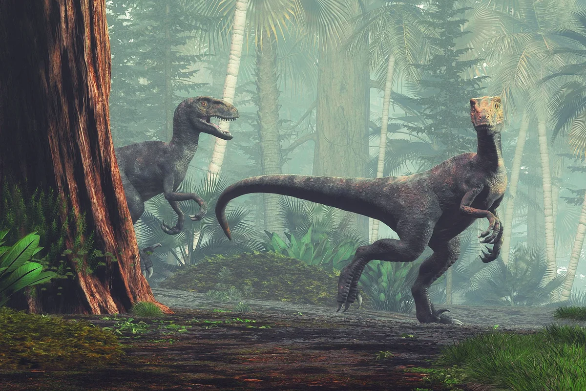 Velociraptors walking through the forest