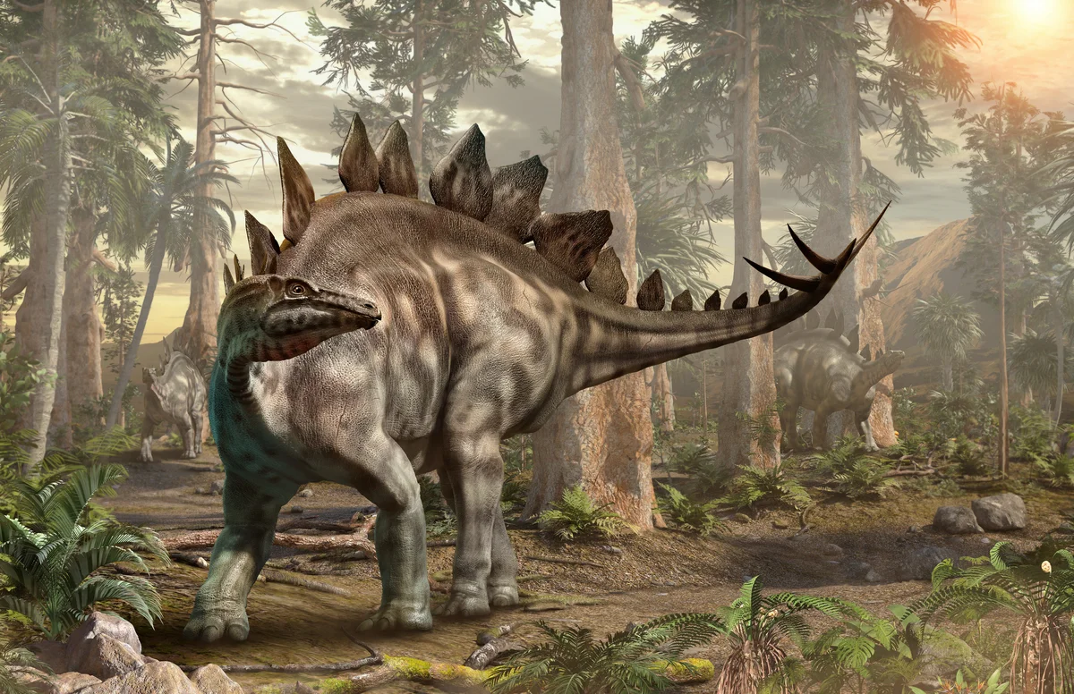 Stegosaurus in forest scene