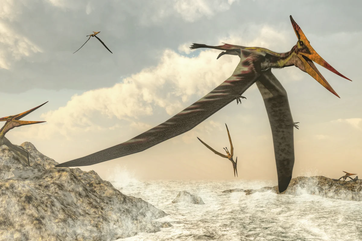 Pterodactyl