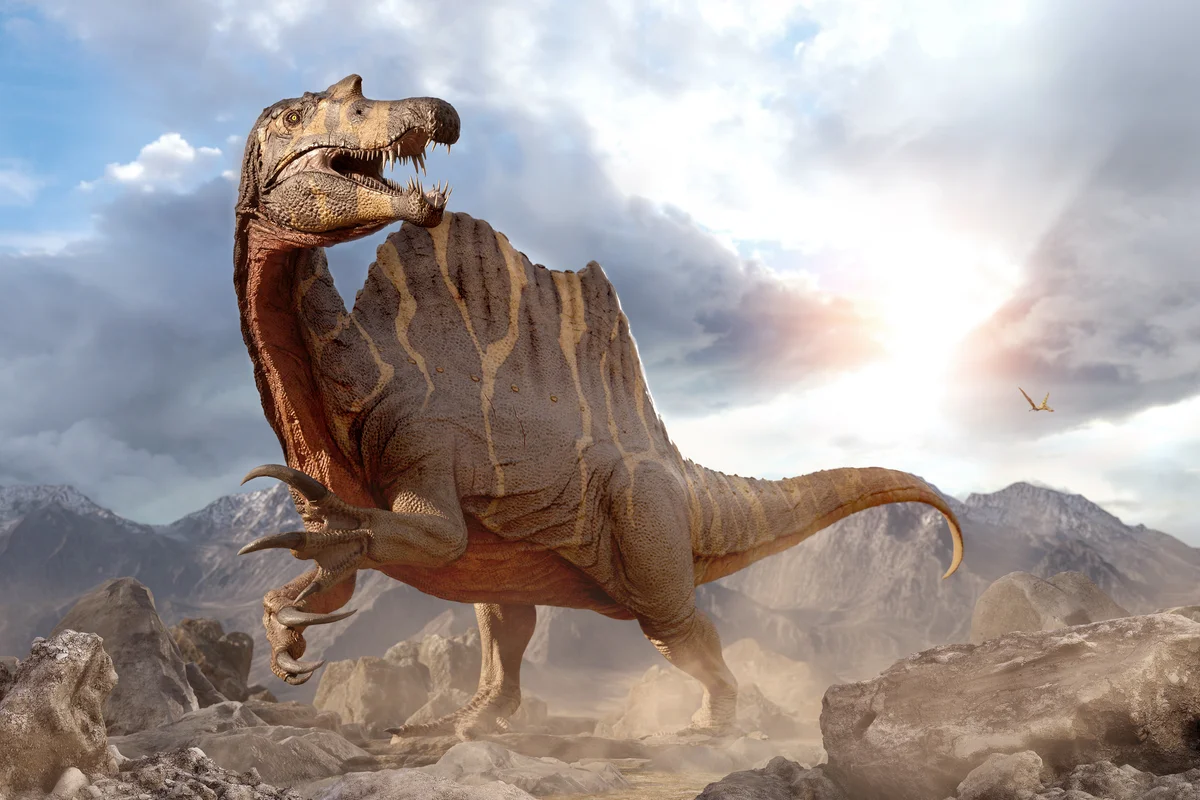 Spinosaurus from the Cretaceous era