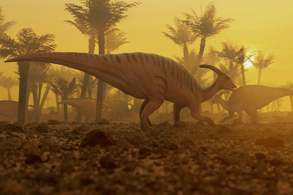 Parasaurolophus