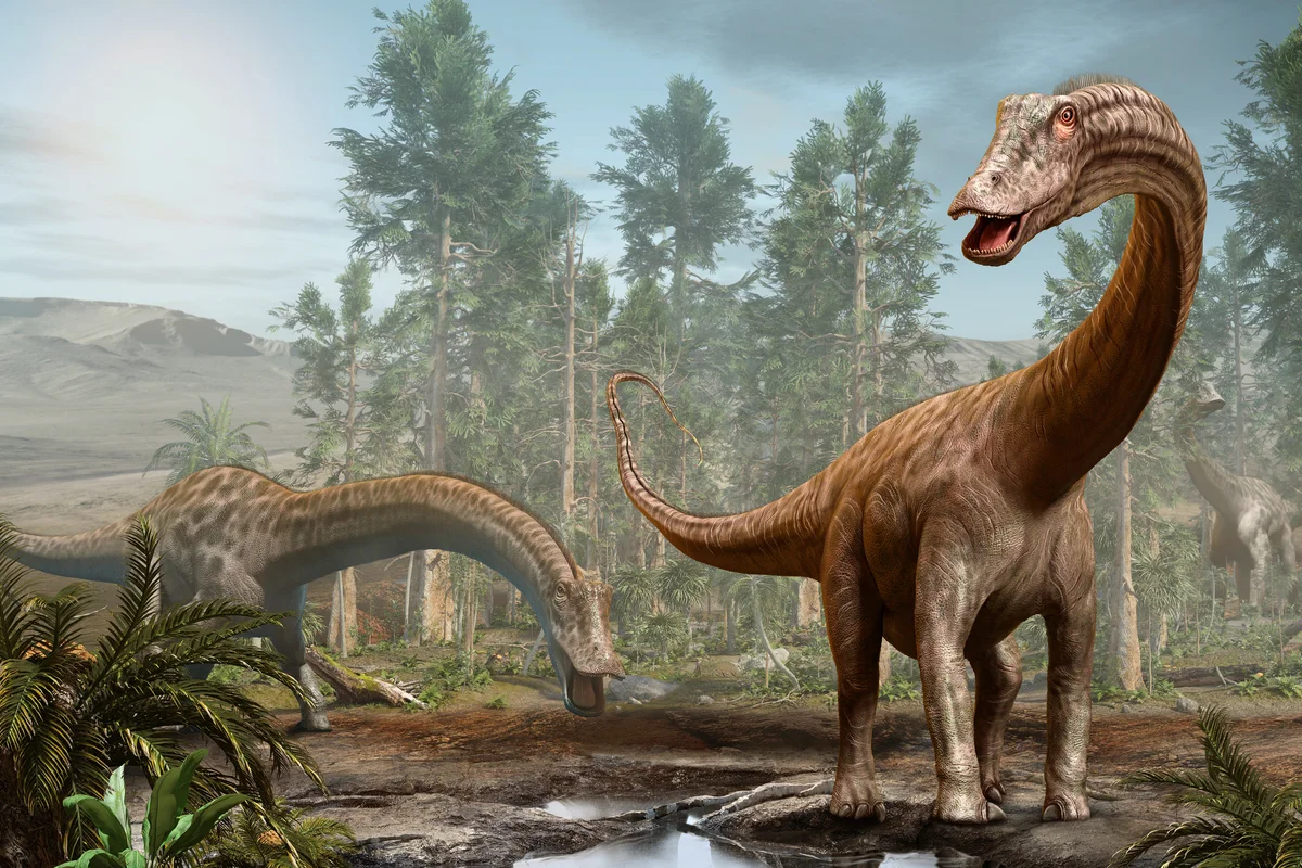 Diplodocus dinosaur