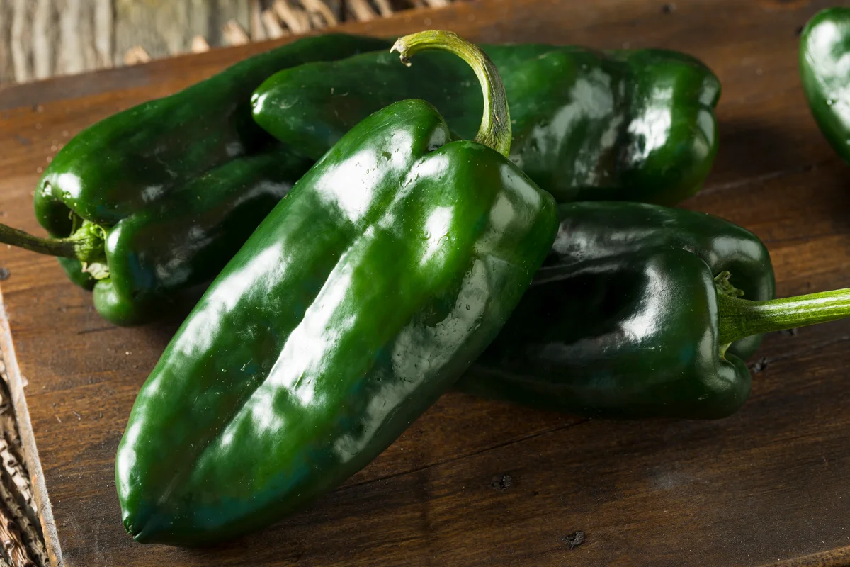 poblano peppers