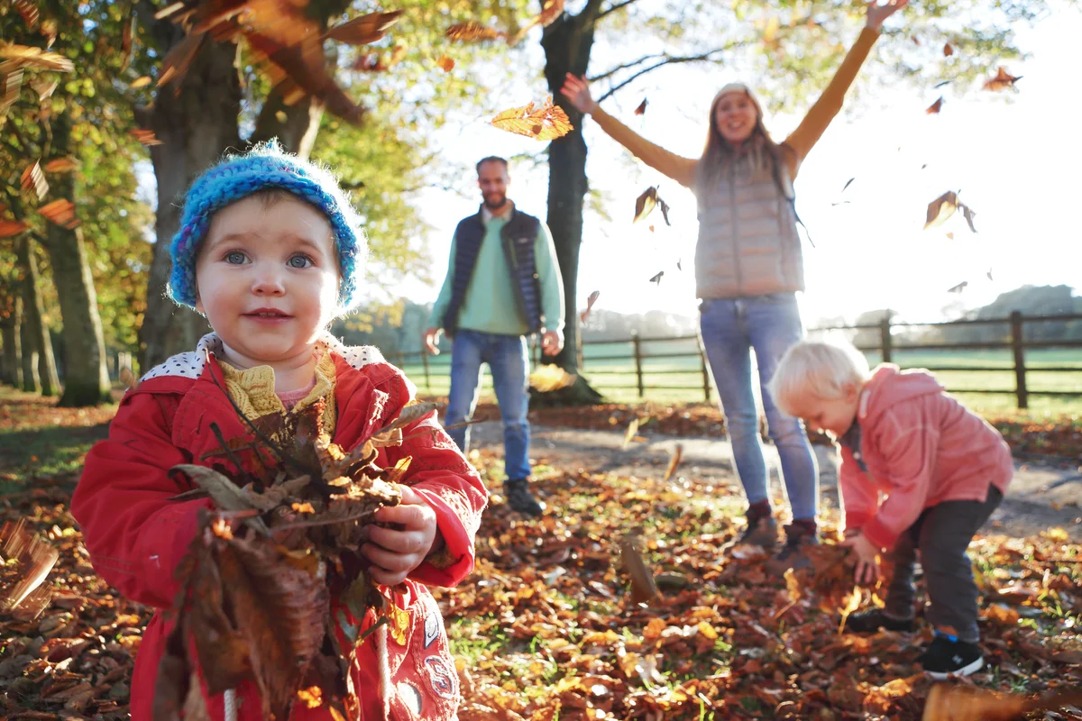 Family at park playing in fall leaves with two young children
