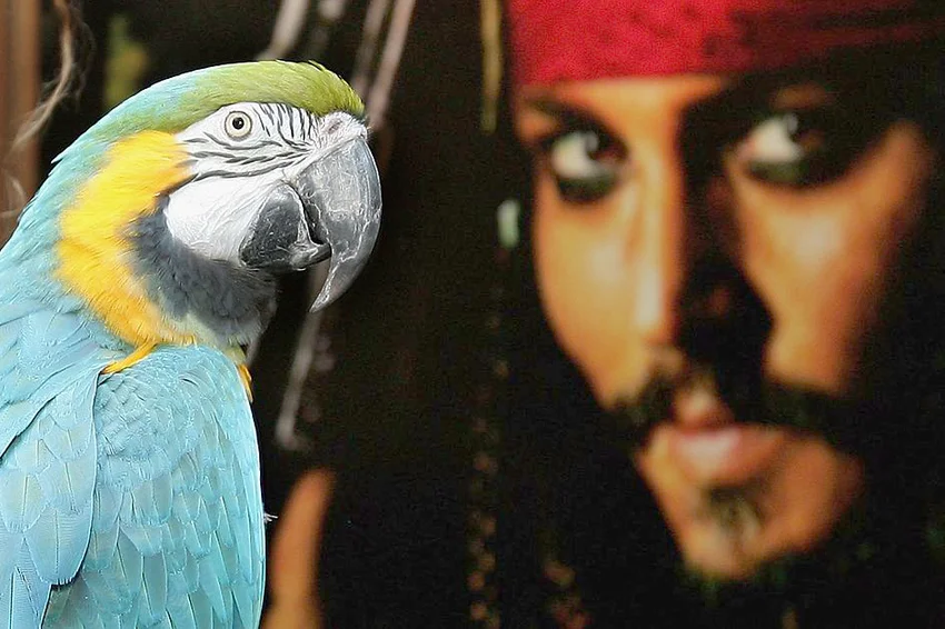 Pirates Of The Caribbean