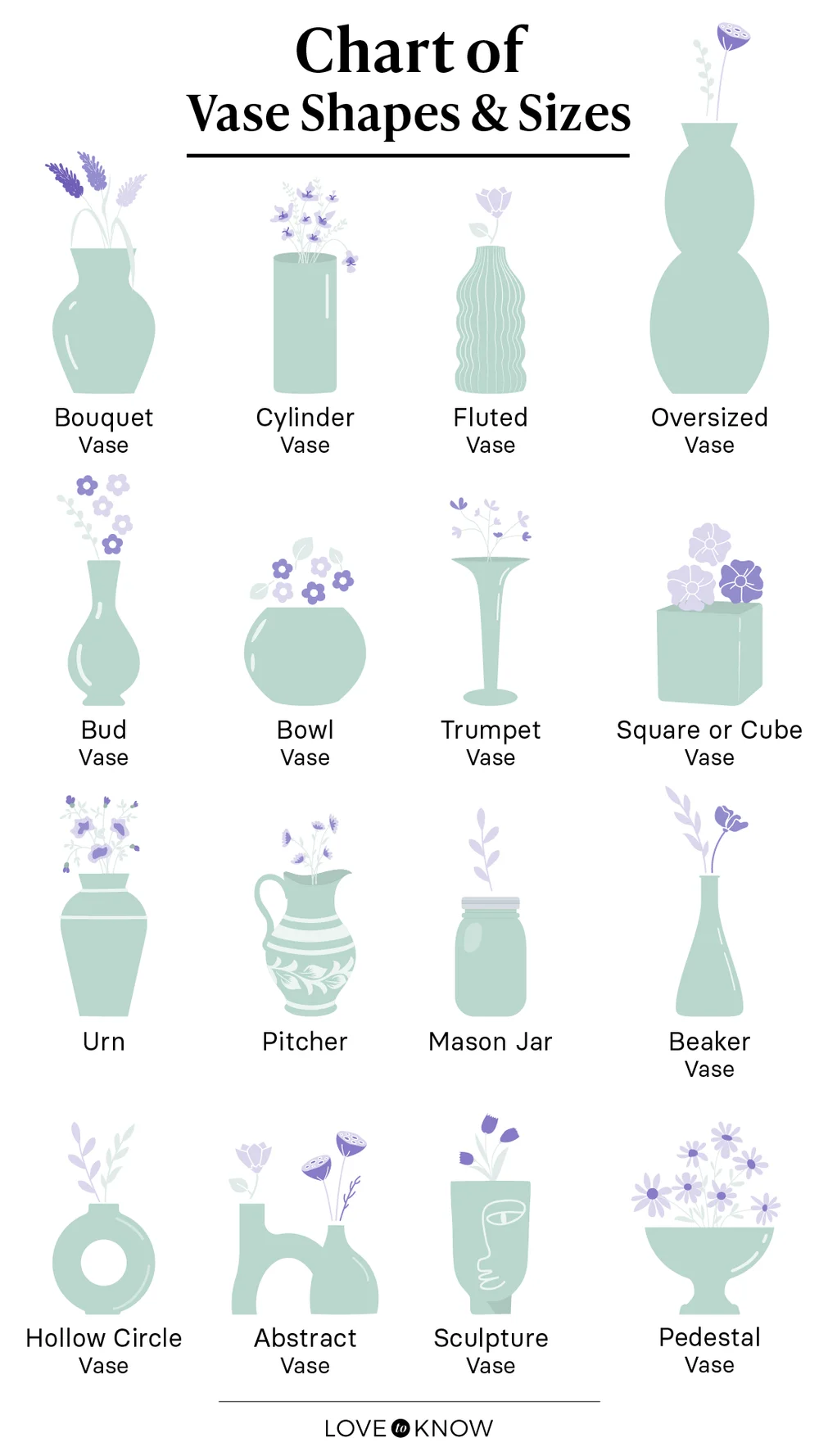 Vase Shapes Infographic