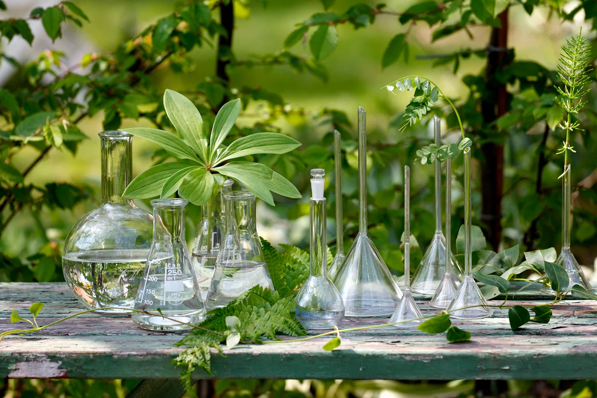 Vases on garden table