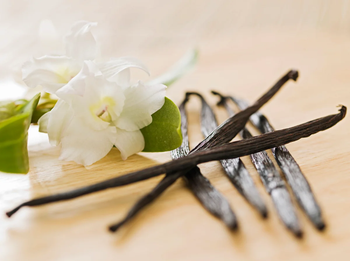 vanilla bean and flower