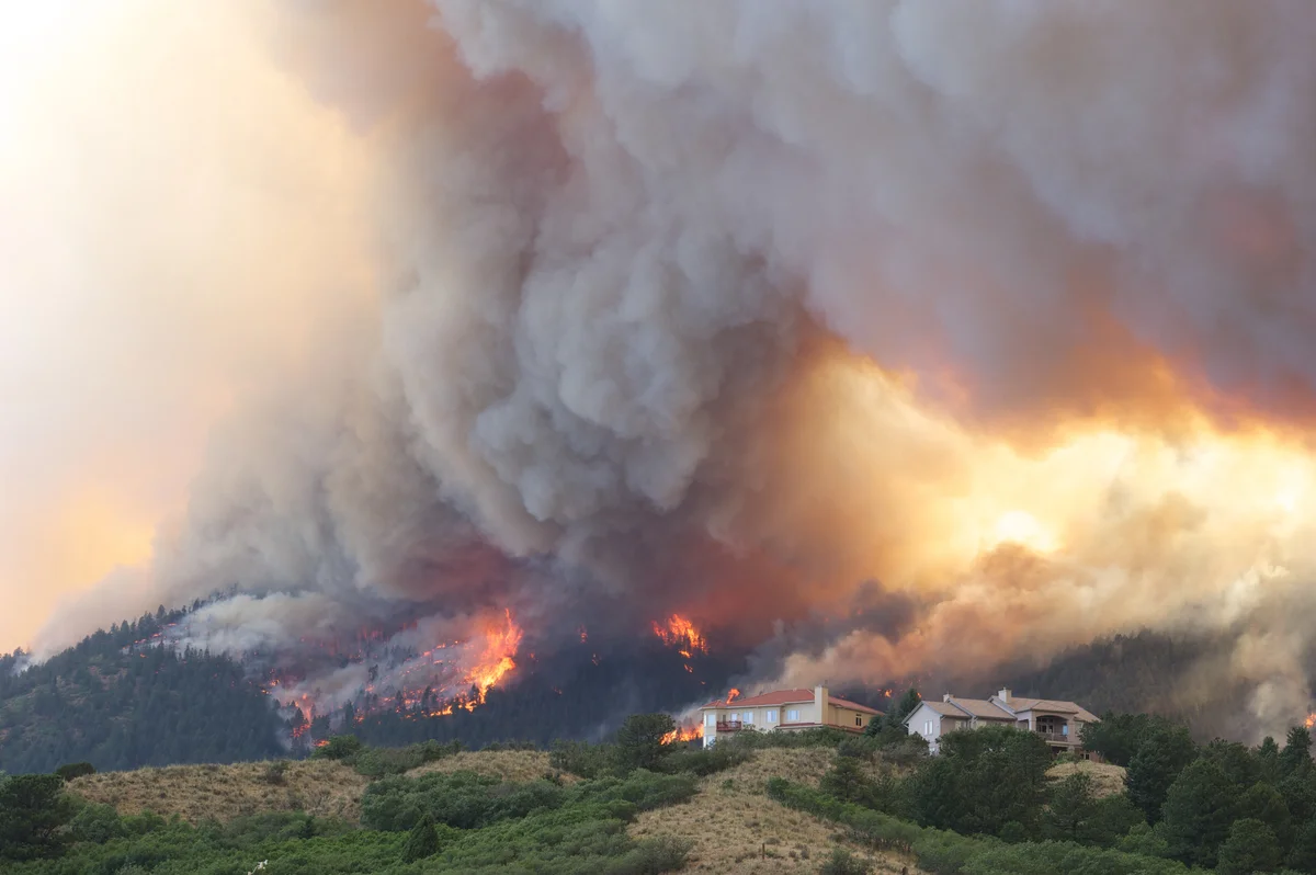 wildfire near houses