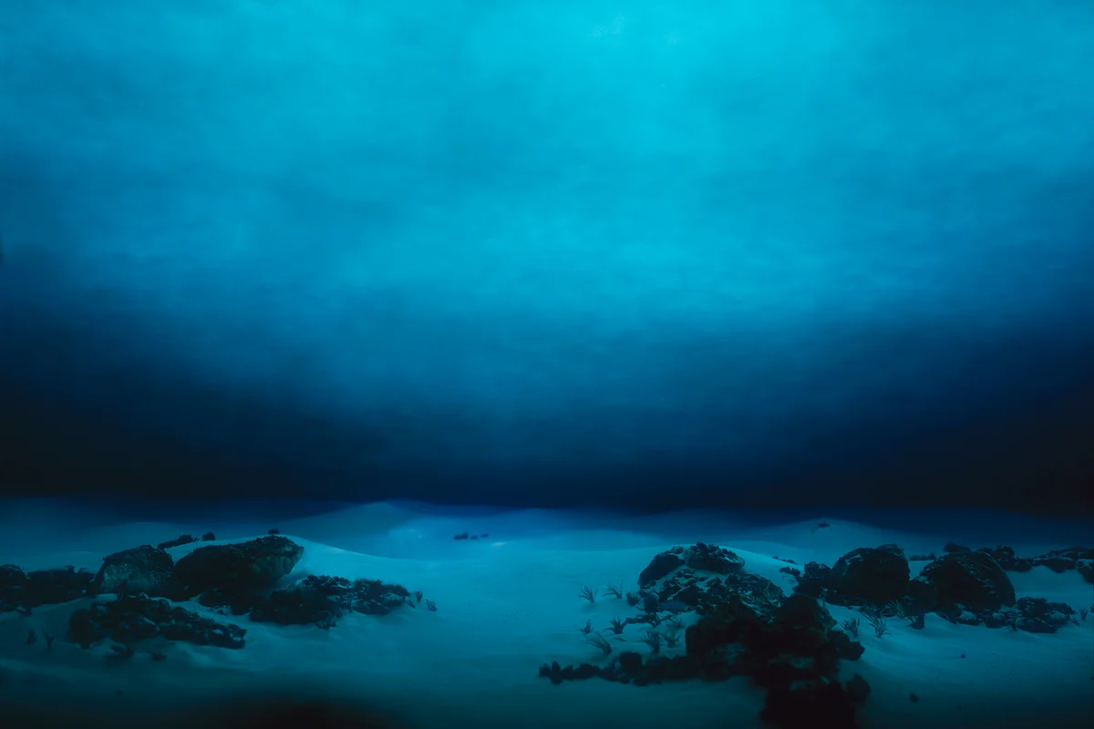 Underwater terrain