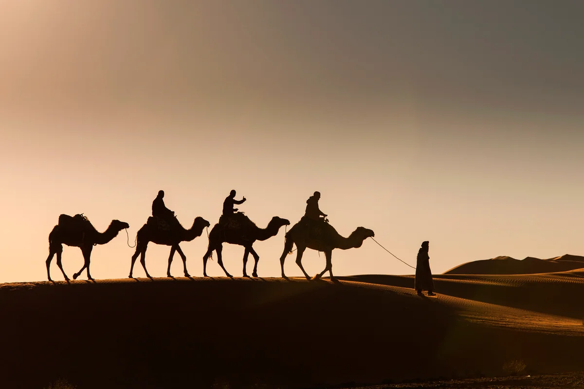 Camel ride in the desert