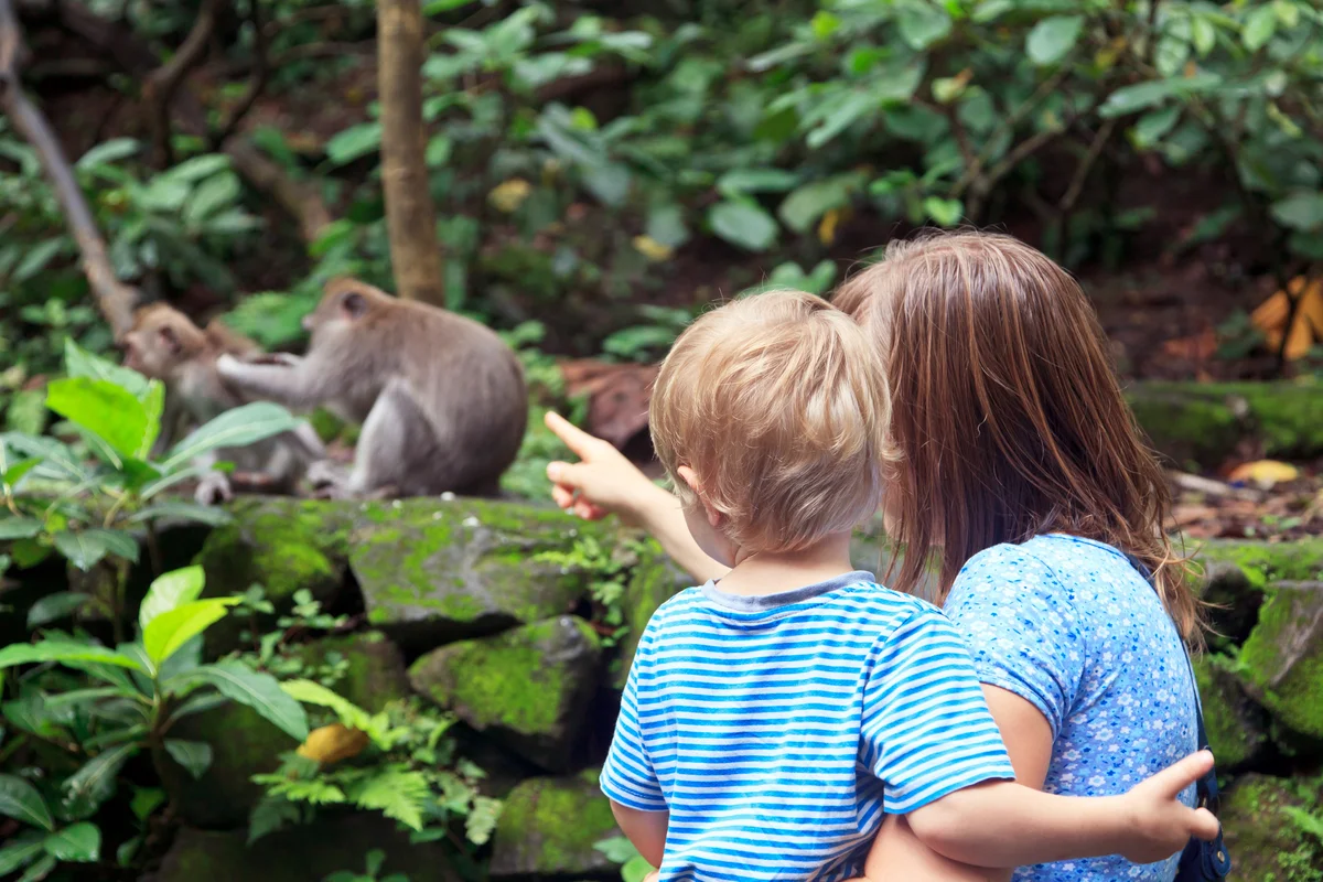 Family looking at wild monkey