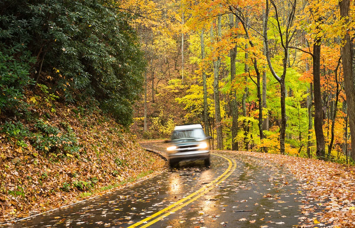 Dazzling fall foliage in the Smoky Mountains