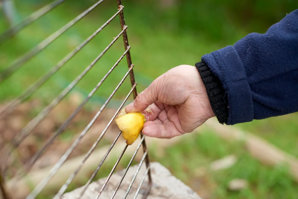 Cleaning rusty grill grates with a lemon