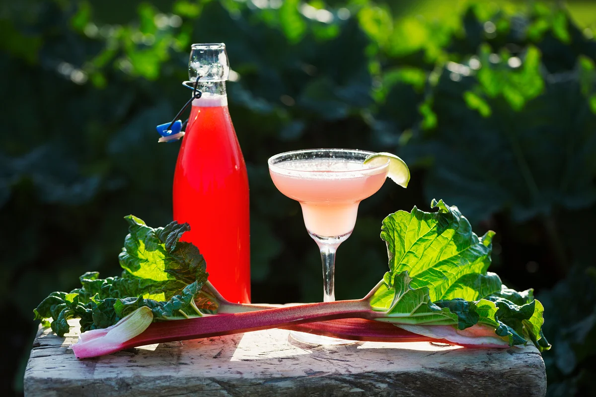 A rhubarb cocktail