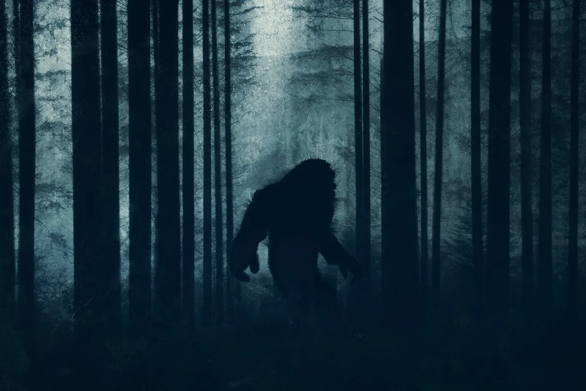 mysterious bigfoot figure, walking through a forest