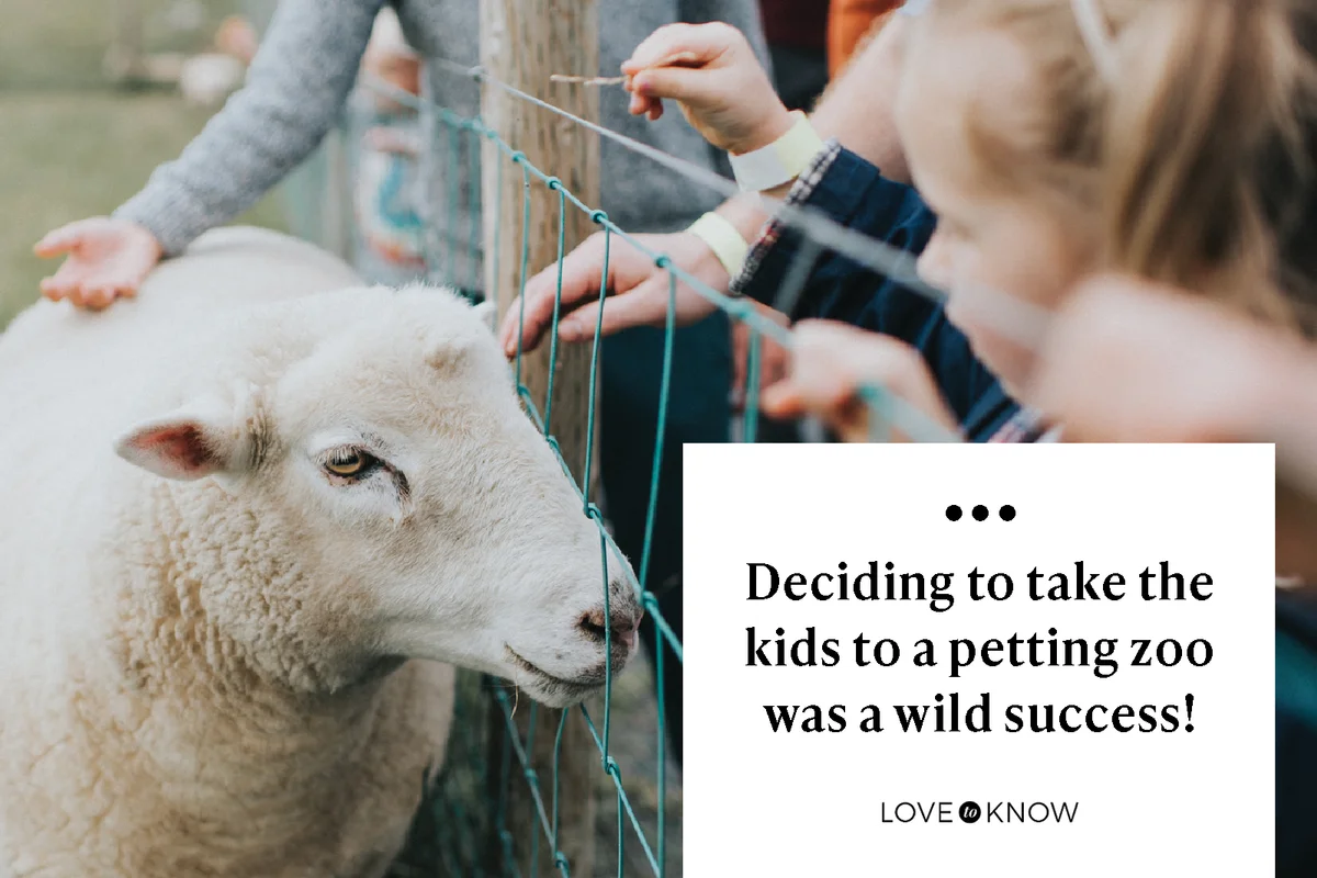 Family visiting the petting zoo